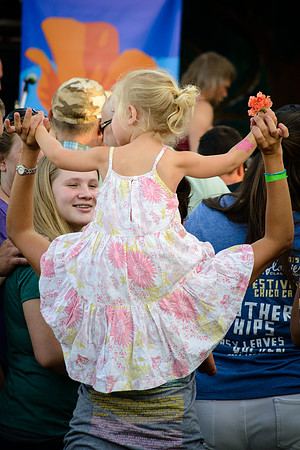 3rd Annual Wildflower Music Festival