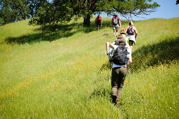 Sutter Buttes