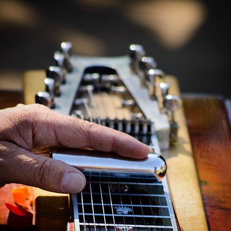 3rd Annual Wildflower Music Festival
