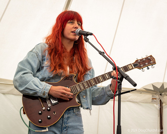 Wildflower Music Festival 2024
