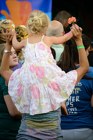 3rd Annual Wildflower Music Festival