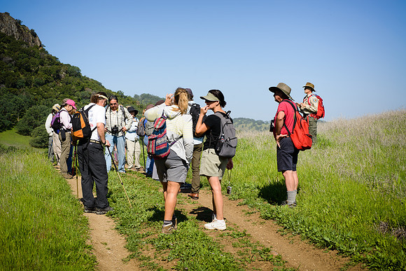 Sutter Buttes