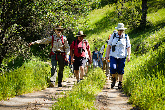 Sutter Buttes