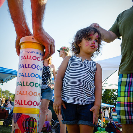 3rd Annual Wildflower Music Festival