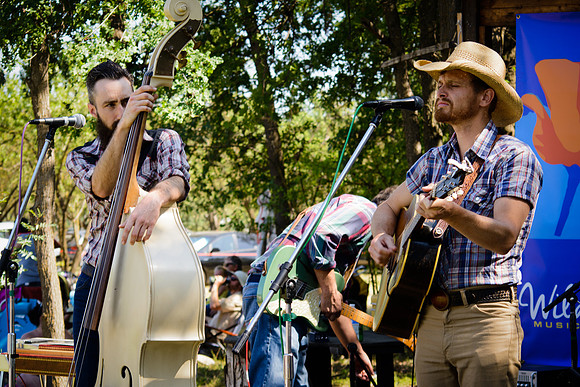 3rd Annual Wildflower Music Festival