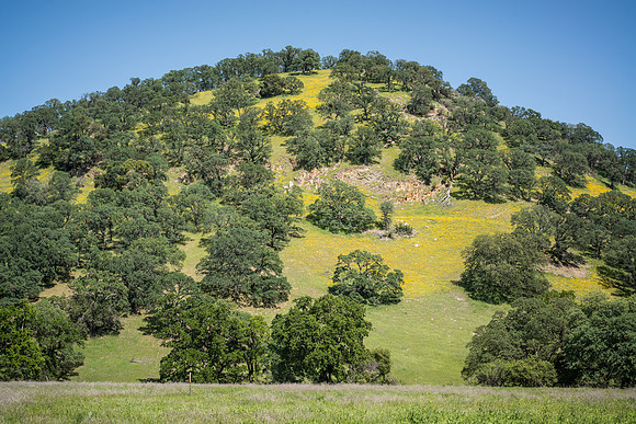 Sutter Buttes