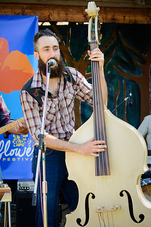 3rd Annual Wildflower Music Festival