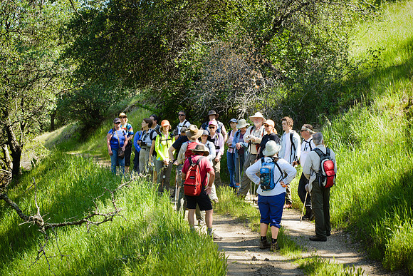Sutter Buttes